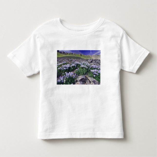Camiseta Infantil Montanhas e flores silvestres em prados alpinos, (Frente)