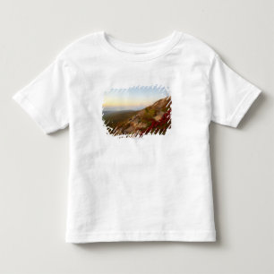 Camiseta Infantil Montanhês rochoso, flores vermelhas, parque