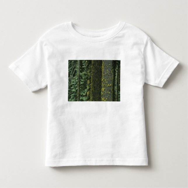 Camiseta Infantil Monte Ashland, Floresta Nacional Rogue River, (Frente)