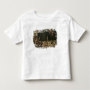 Camiseta Infantil Montezuma