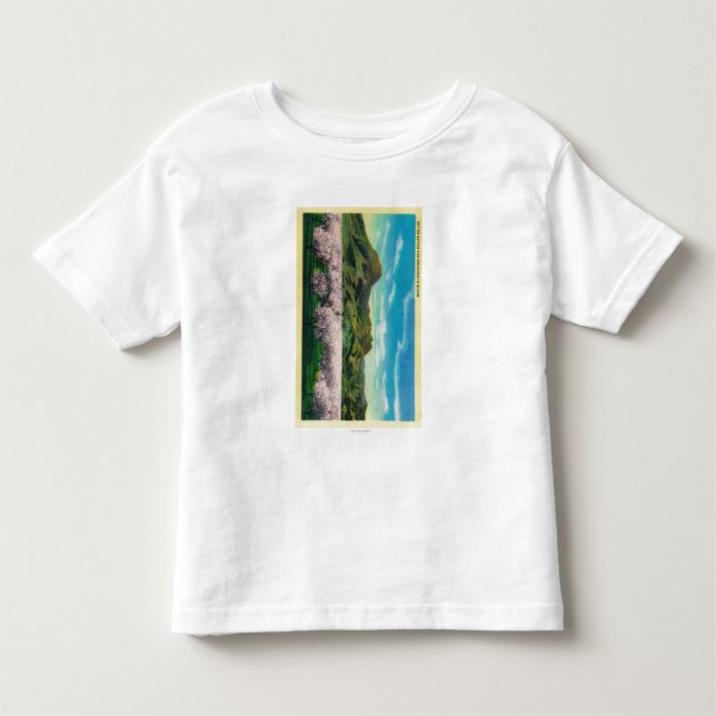 Camiseta Infantil Montículos e pomares de Sutter na flor (Frente)