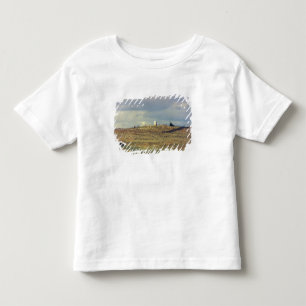 Camiseta Infantil Monumento Nacional de Little Bighorn Battlefield (