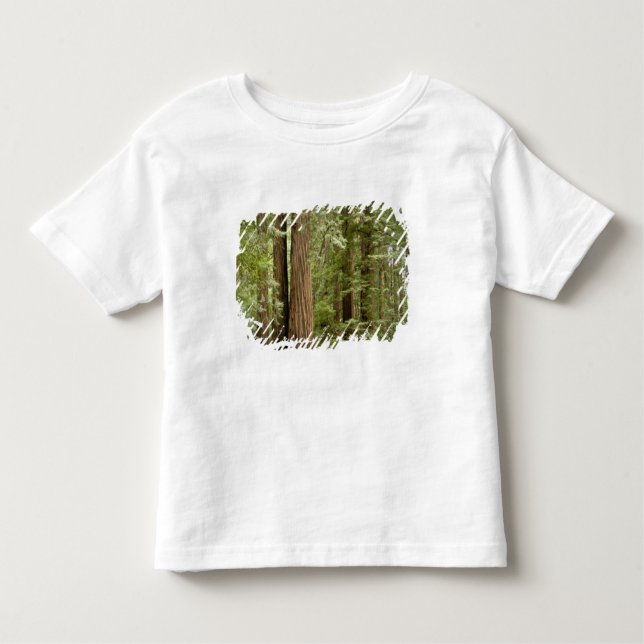 Camiseta Infantil Monumento Nacional de Muir Woods, Norte (Frente)