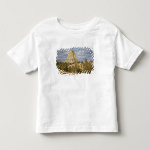 Camiseta Infantil Monumento Nacional Devils Tower