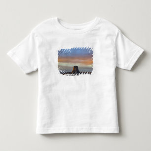 Camiseta Infantil Monumento Nacional Devils Tower, Tempestade ao Pôr