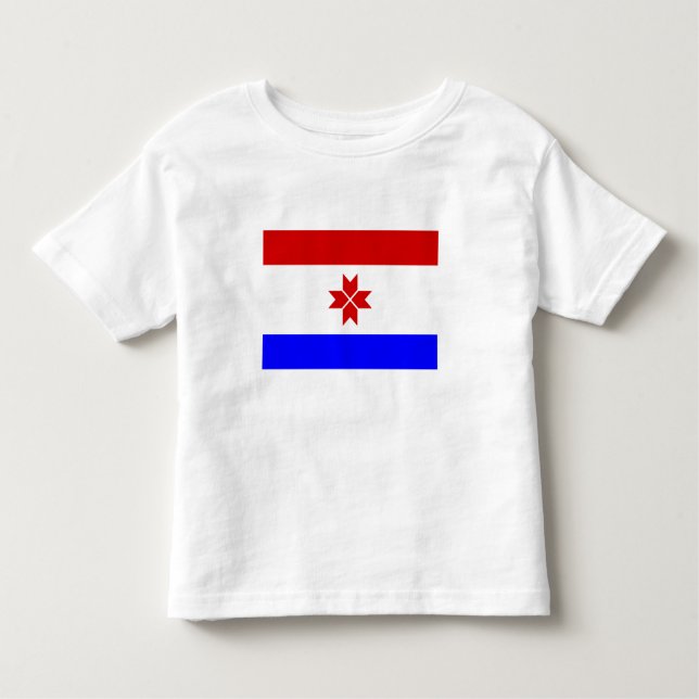 Camiseta Infantil Mordovia Flag (Frente)