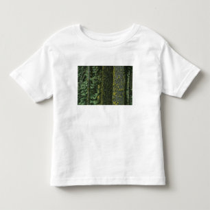 Camiseta Infantil Mt. Ashland, Floresta Nacional Rogue RIver,