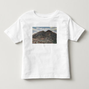 Camiseta Infantil Mt. Evans, cimeira ViewMt de Colorado. Evans, CO