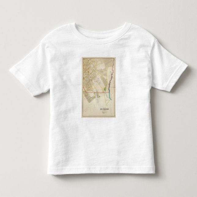 Camiseta Infantil Mt Vernon 1 (Frente)