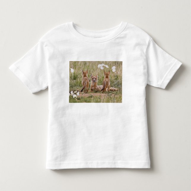Camiseta Infantil Mulher do Swift Fox (Vulpes velox) com tenra idade (Frente)