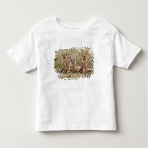 Camiseta Infantil Mulher do Swift Fox (Vulpes velox) com tenra idade