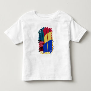 Camiseta Infantil N.A. Canadá, Nova Scotia, Bridgewater. Colorido 3