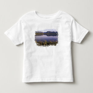 Camiseta Infantil N.A., Canadá, Terra Nova, Gros Morne Nacional