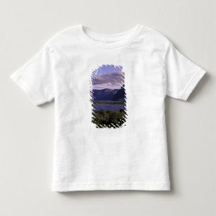 Camiseta Infantil N.A., Canadá, Terra Nova, Gros Morne Nacional 2