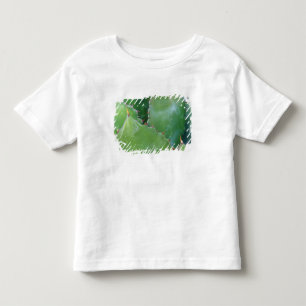 Camiseta Infantil N.A., EUA, Arizona, Tucson, Deserto de Sonora