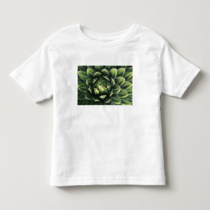 Camiseta Infantil N.A., EUA, Arizona, Tucson, Sonora Desert