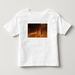 Camiseta Infantil N.A., EUA, Geórgia, George Smith State Park.