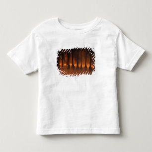 Camiseta Infantil N.A., EUA, Geórgia, George Smith State Park. 2