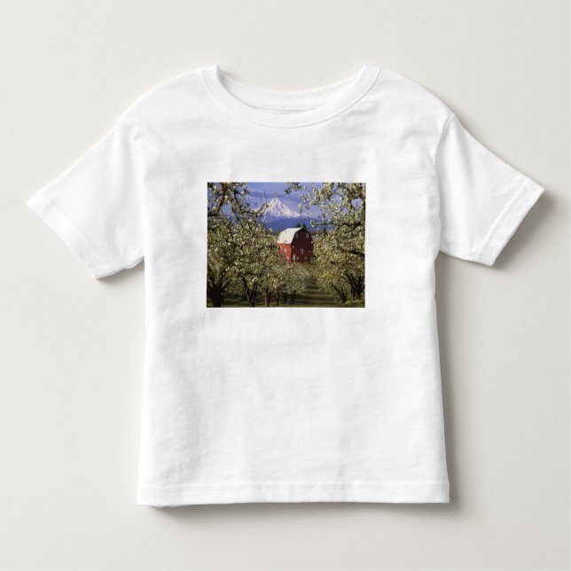 Camiseta Infantil N.A., EUA, Oregon, Hood River County. Vermelho (Frente)