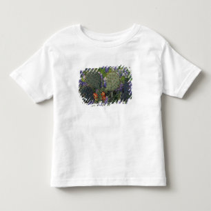 Camiseta Infantil N.A., EUA, Texas, Cacto rodeado por