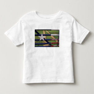 Camiseta Infantil N.A., EUA, Texas, lago Buchanan, bandeira de Texas