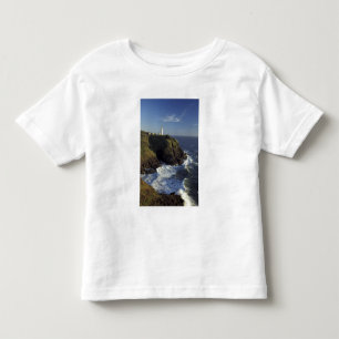 Camiseta Infantil N.A., EUA, Washington, Cape Disappointment State