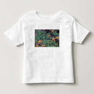 Camiseta Infantil N.A., EUA, Washington, Parque Nacional da Olimpiad