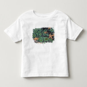 Camiseta Infantil N.A., EUA, Washington, Parque Nacional Olímpico