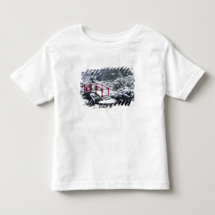 Camiseta Infantil N.A., EUA, Washington, Seattle. Ponte da lua em