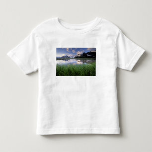Camiseta Infantil NA, Canadá, Alberta, Tonquin Valley. Jasper