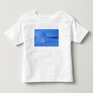 Camiseta Infantil NA, Canadá, Manitoba, Churchill. Igloo ártico