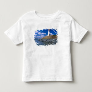 Camiseta Infantil NA, Canadá, New Brunswick, Ilha Campobello.5