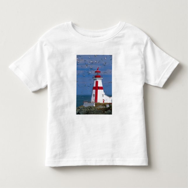 Camiseta Infantil NA, Canadá, New Brunswick, Ilha Campobello.8 (Frente)