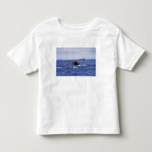 Camiseta Infantil NA, Canadá, Terra Nova, Baía da Trindade. Jubarte