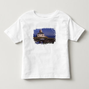Camiseta Infantil NA, Canadá, Terra Nova, Cabo Spear. Cabo Antigo
