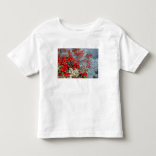 Camiseta Infantil NA, EUA, Alasca, Denali NP, Bear berry e