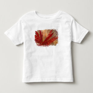 Camiseta Infantil NA, EUA, Alasca, Denali NP, Fireweed e selvagem
