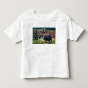 Camiseta Infantil NA, EUA, Alasca, Denali NP, Rena boi 3