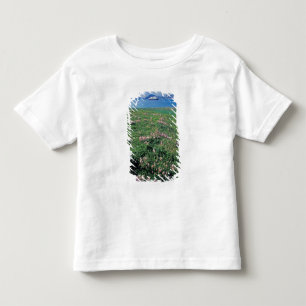Camiseta Infantil NA, EUA, Alasca, Ilha Aleutiana, Cênica com