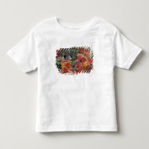 Camiseta Infantil NA, EUA, Alasca. Parque Nacional Denali. Bearberry