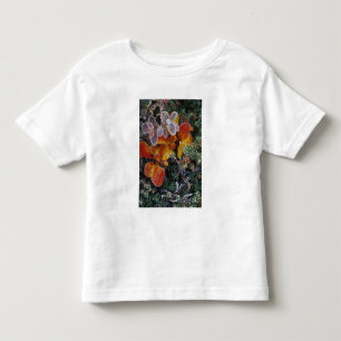 Camiseta Infantil NA, EUA, Alasca. Parque Nacional Denali. Bearberry