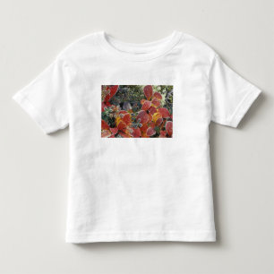 Camiseta Infantil NA, EUA, Alasca. Parque Nacional Denali. Bearberry