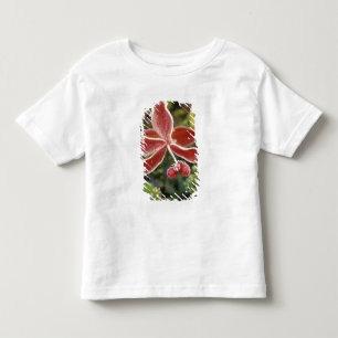 Camiseta Infantil NA, EUA, Alasca. Parque Nacional Denali, Maravilha