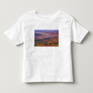 Camiseta Infantil NA, EUA, Alasca, Parque Nacional Denali, Vista do