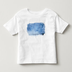Camiseta Infantil NA, EUA, Alasca, Sudeste do Alasca, Tracy Arm,