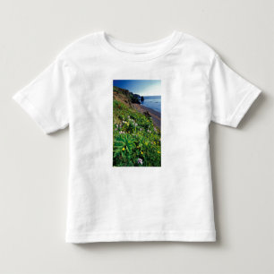 Camiseta Infantil NA, EUA, Alaska, Ilhas Semidi, Flores Selvagens