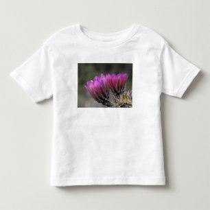 Camiseta Infantil NA, EUA, Arizona, Deserto de Sonora. Ouriço-cachei