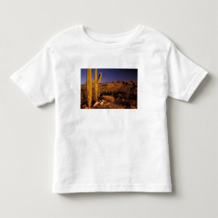 Camiseta Infantil NA, EUA, Arizona, Monumento Nacional de Saguaro,