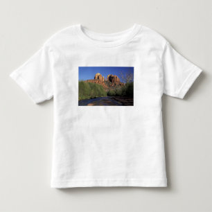 Camiseta Infantil NA, EUA, Arizona, Sedona. Catedral Rocha e Oak