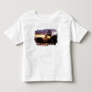 Camiseta Infantil NA, EUA, Arizona, Tucson, Pôr do sol e solitária